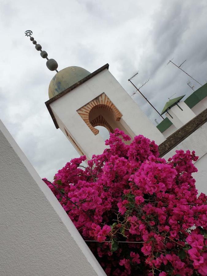 Entre 2 Mezquitas Apartamento 8 Kordoba Bagian luar foto