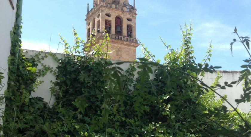 Entre 2 Mezquitas Apartamento 8 Kordoba Bagian luar foto